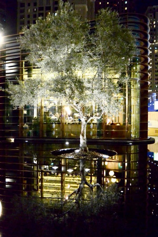 The Beach Residence Dubai Bagian luar foto